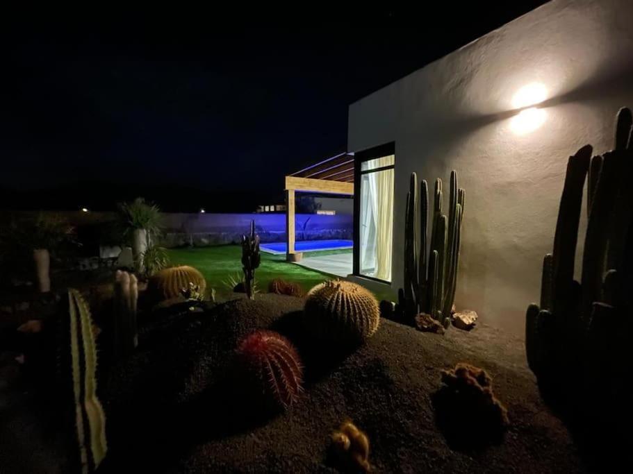 Bungalow + Piscina Independiente La Oliva Exterior photo